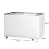 Freezer Horizontal Portas de Vidro 411 Litros - FRICON - Image 2